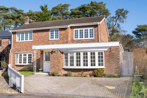 Photo 1- click for photo gallery